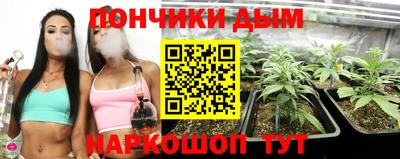 прущие грибы Краснокаменск