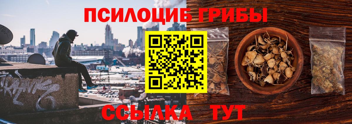 Галлюциногенные грибы прущие грибы Ярцево